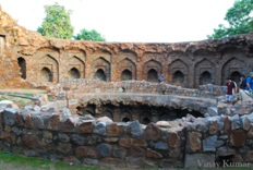 Special Walk: Kotla Firuz Shah