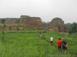 Special Heritage Walk: Jahanpanah & Begumpur