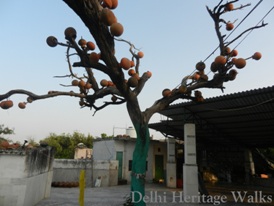 Neighbourhood of Old Fort: Heritage Walk to Old Fort Neighbourhood of Old Fort: Heritage Walk to Old Fort